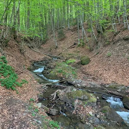 Mont Blanc Family Vyshka