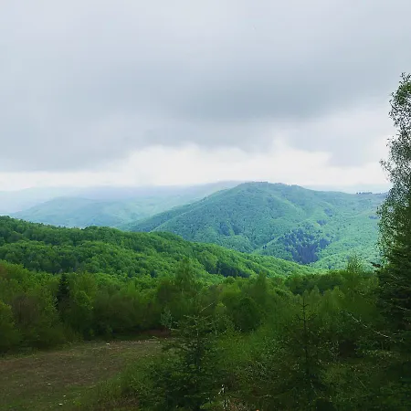 Mont Blanc Family Vyshka