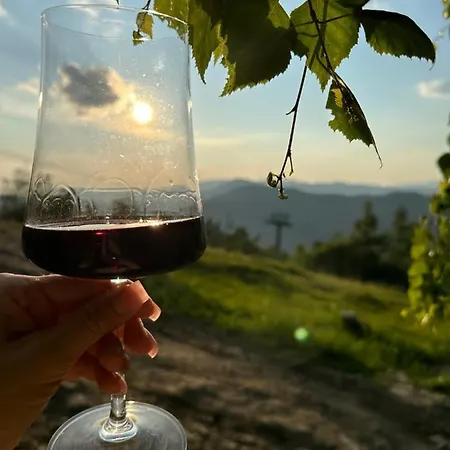 Otel Mont Blanc Family Vyshka